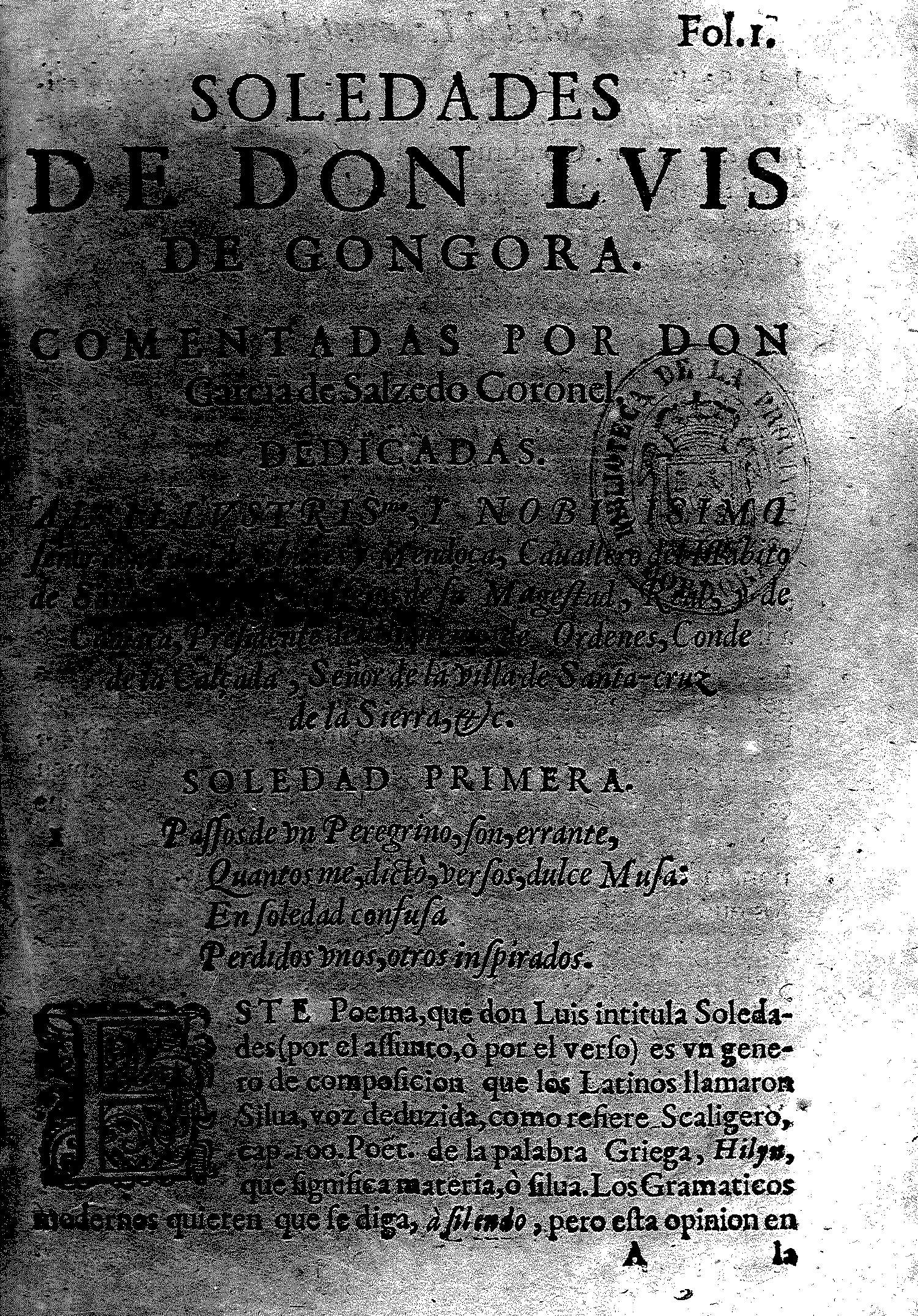Soledades de Don Lvis de Gongora. Soledad Primera