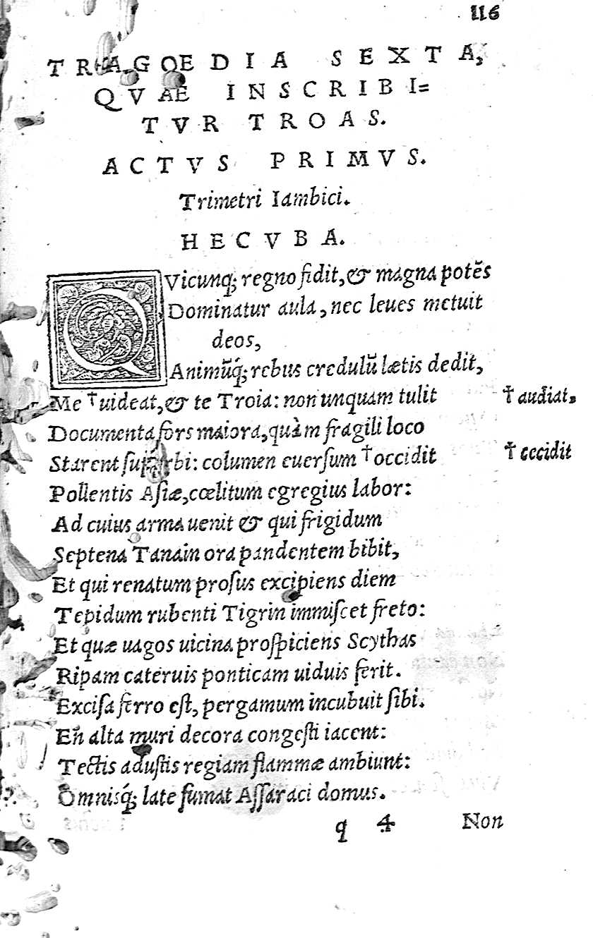 [Tragoedia Sexta, quae inscribitur Troas] 116