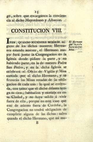 Constitucion VIII