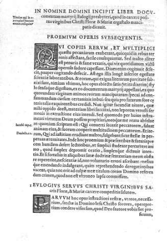 Liber Documentum martyrii