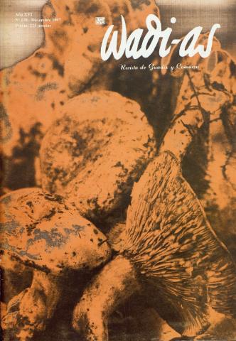 'Wadi-as  : informativo comarcal' - Año XVI Número 128  - 1997 diciembre 1